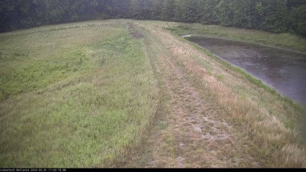 Cell 4 to Basin_24-06-25_11-43-19-34