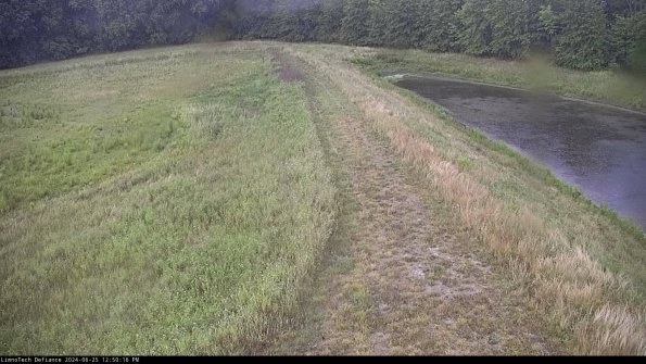 Cell 4 to Basin_24-06-25_12-50-17-35