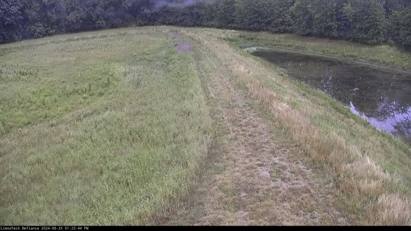 Cell 4 to Basin_24-06-25_13-23-45-33