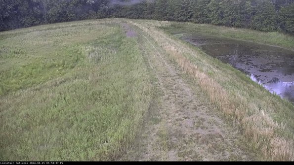 Cell 4 to Basin_24-06-25_18-58-38-36