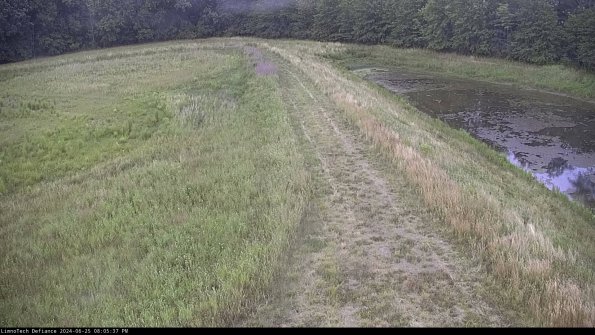 Cell 4 to Basin_24-06-25_20-05-38-34