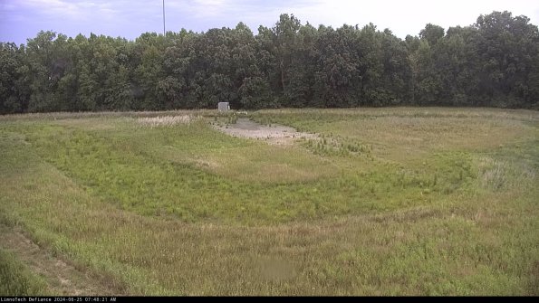 Cell 4_24-06-25_07-48-22-34