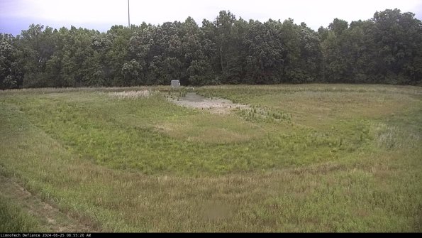 Cell 4_24-06-25_08-55-21-34