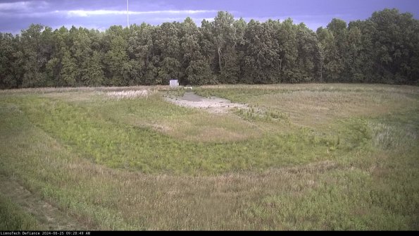 Cell 4_24-06-25_09-28-50-33