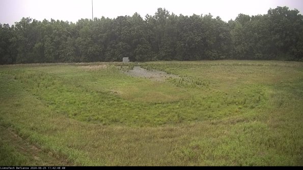 Cell 4_24-06-25_11-42-49-35