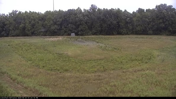 Cell 4_24-06-25_13-23-15-33