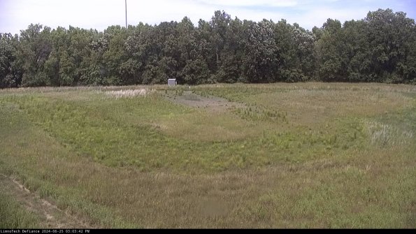 Cell 4_24-06-25_15-03-43-32