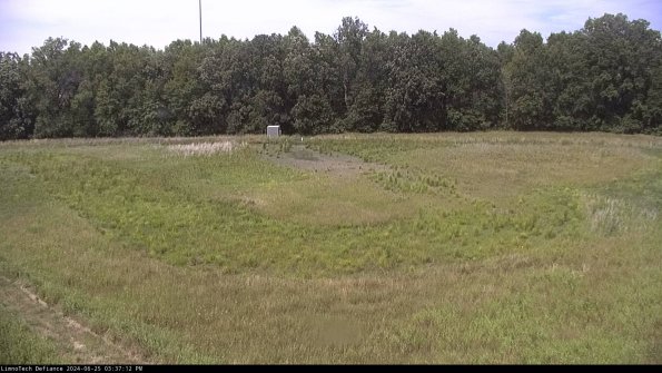 Cell 4_24-06-25_15-37-13-34