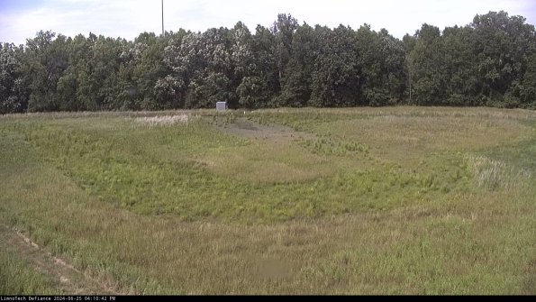 Cell 4_24-06-25_16-10-43-33