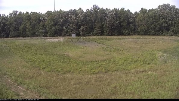 Cell 4_24-06-25_17-17-41-34