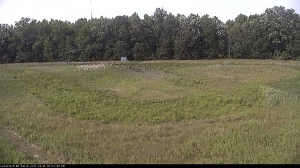 Cell 4_24-06-25_17-51-10-33