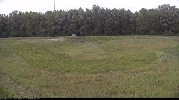 Cell 4_24-06-25_18-58-08-33