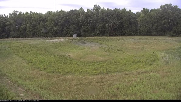 Cell 4_24-06-25_19-31-38-35