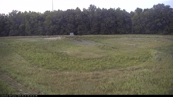 Cell 4_24-06-25_20-38-37-36