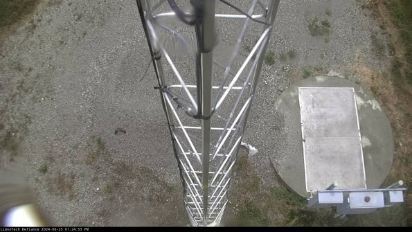 Hatch_24-06-25_13-24-54-33