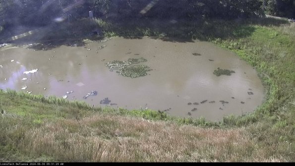 Basin Right_24-06-30_09-31-30-34