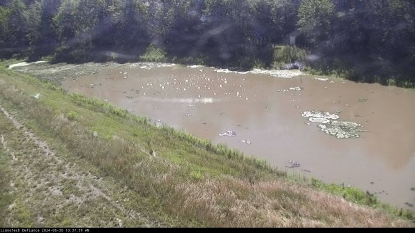 Basin_24-06-30_10-37-59-49