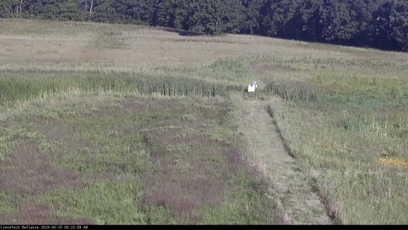 Cell 1 to 2_24-06-30_08-22-09-33