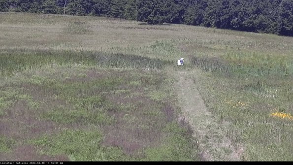 Cell 1 to 2_24-06-30_10-36-08-34