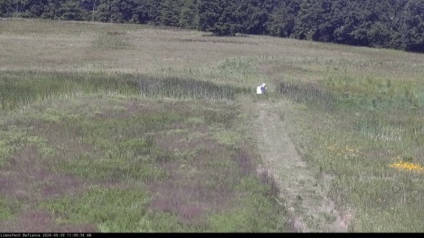 Cell 1 to 2_24-06-30_11-09-37-33