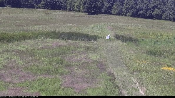 Cell 1 to 2_24-06-30_13-23-34-34