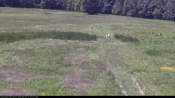 Cell 1 to 2_24-06-30_13-57-02-33