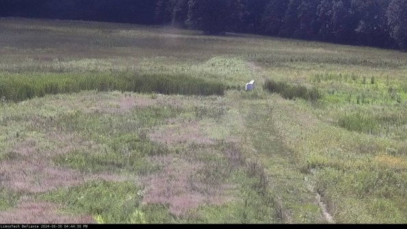 Cell 1 to 2_24-06-30_16-44-31-34