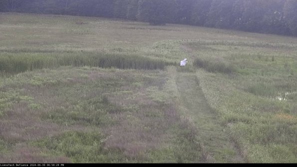 Cell 1 to 2_24-06-30_18-58-30-35