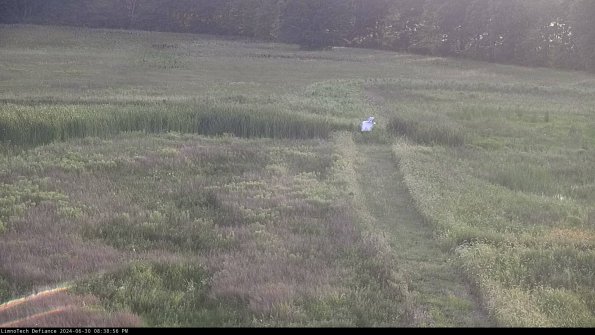 Cell 1 to 2_24-06-30_20-38-57-35