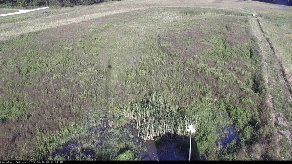 Cell 1_24-06-30_07-48-25-36