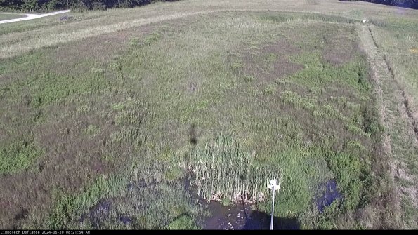 Cell 1_24-06-30_08-21-55-35