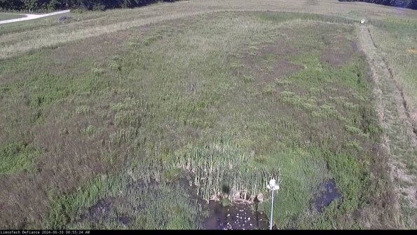 Cell 1_24-06-30_08-55-25-37