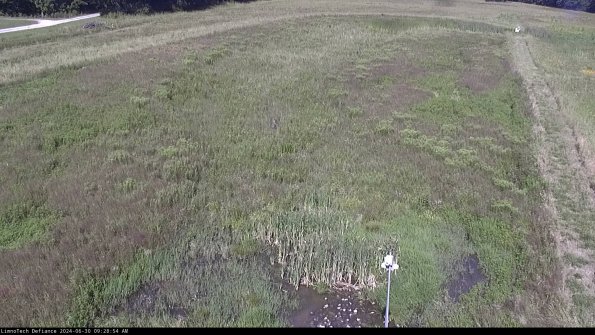 Cell 1_24-06-30_09-28-55-36