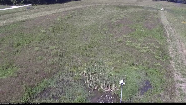 Cell 1_24-06-30_10-02-24-31