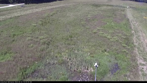 Cell 1_24-06-30_10-35-54-33