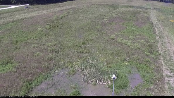 Cell 1_24-06-30_11-09-23-35