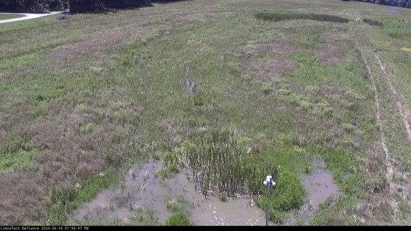 Cell 1_24-06-30_13-56-48-35