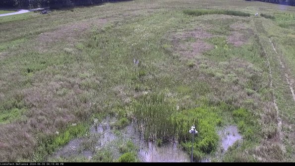 Cell 1_24-06-30_16-10-47-33