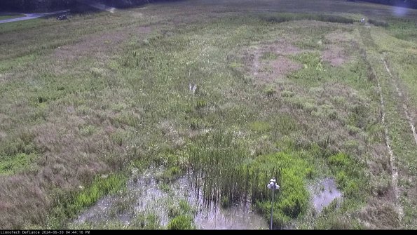 Cell 1_24-06-30_16-44-17-32