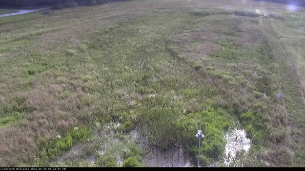 Cell 1_24-06-30_18-24-46-35