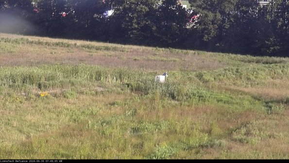 Cell 2 to 3_24-06-30_07-49-05-50