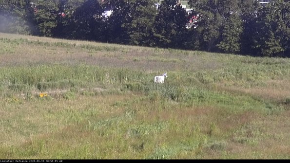 Cell 2 to 3_24-06-30_08-56-05-54