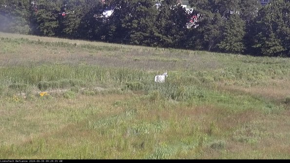 Cell 2 to 3_24-06-30_09-29-35-53