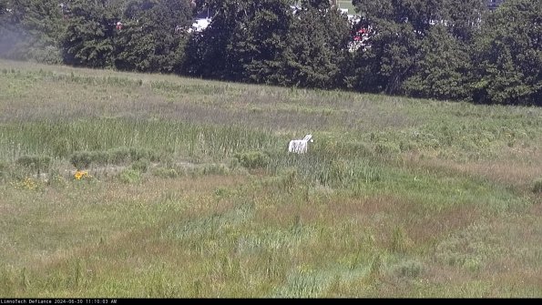 Cell 2 to 3_24-06-30_11-10-03-52