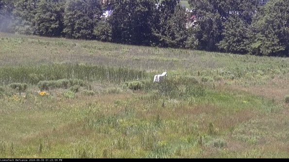 Cell 2 to 3_24-06-30_13-24-00-40