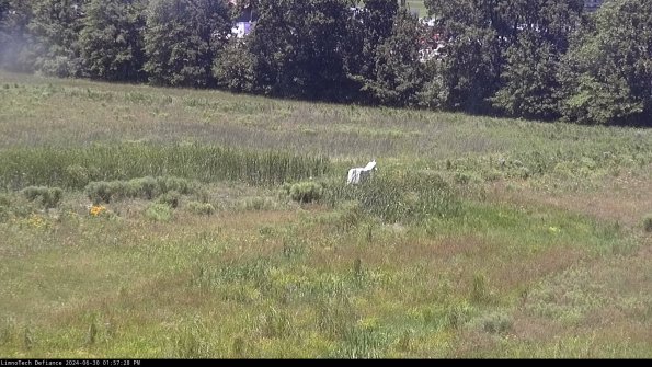 Cell 2 to 3_24-06-30_13-57-28-56