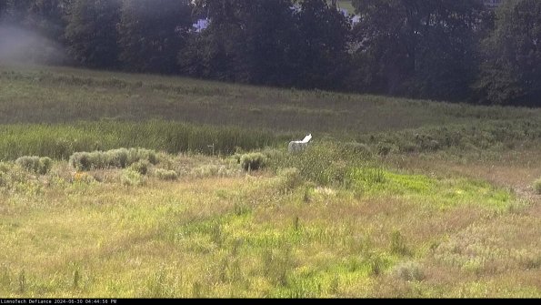 Cell 2 to 3_24-06-30_16-44-57-43