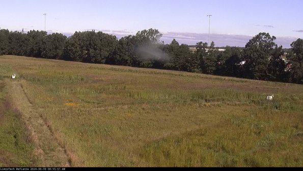 Cell 2_24-06-30_08-55-52-43