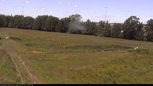 Cell 2_24-06-30_13-23-47-36