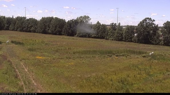 Cell 2_24-06-30_13-57-15-38